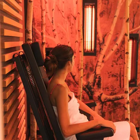 Erasmus - Mein Genuss- Und Wellnesshotel 4* トラッセム